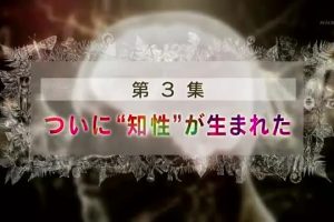 生命大跃进(3) 智慧的诞生[日语无字]