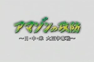 美日中大豆争夺战[日语无字]