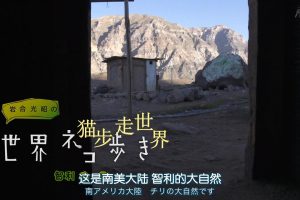 猫步走世界 智利[日语中日双字]