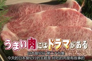 日本美食纪行 (29) 好吃的肉都是有故事的[日语中字]