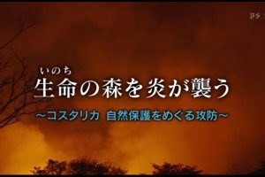 哥斯达黎加自然保护的攻防战 [日语无字]