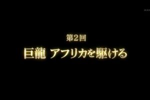 中国力量(2)驰骋非洲的巨龙[日语日字]
