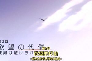 能源的湍流(2)欲望的代价 能否避免悲惨的结局[日语中字]