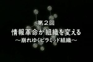 变革的世纪(2) 信息革命颠覆组织结构[日语无字]