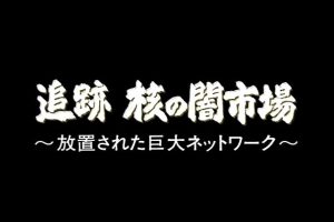 核黑市 巨大网络的内幕[日语日字]