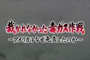 未被审判的毒气战[日语无字]