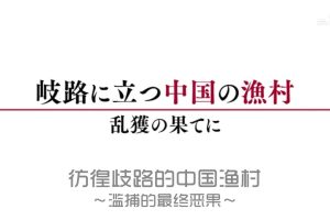彷徨歧路的中国渔村 滥捕的最终恶果[日语中字]
