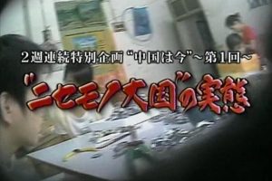 盖亚的黎明 假货大国的实态[日语日字]