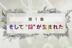生命大跃进(1) 眼睛的诞生[日语无字]