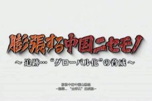 盖亚的黎明 山寨产品远征非洲 追踪中国山寨全球化的威胁[日语中日双字]