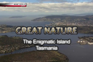 NHK world 迷之岛 塔斯马尼亚[英语英字]