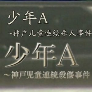 少年A~神户儿童连续杀人事件 被害人与犯人的20年经历 [日语中日双字]