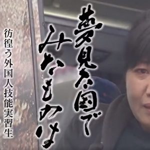 彷徨的外国人技能实习生[日语中日双字]