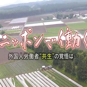 在日本工作的外国人的觉悟[日语日字]