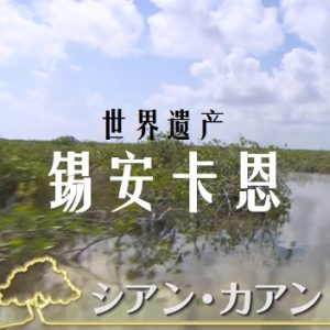 世界遗产 锡安卡恩[日语中日双字]