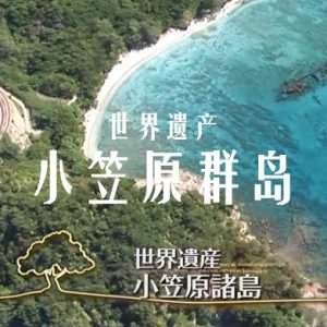 世界遗产 小笠原群岛[日语中日双字]