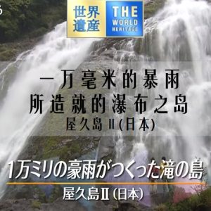 世界遗产 屋久岛Ⅱ 一万毫米的暴雨所造就的瀑布之岛[日语中日双字]