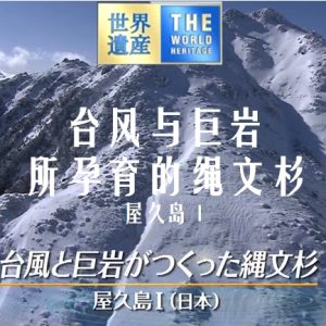 世界遗产 屋久岛Ⅰ 台风与巨岩所孕育的绳文杉[日语中日双字]