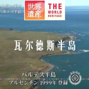 世界遗产 瓦尔德斯半岛 [中日双语]