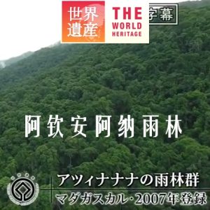 世界遗产 阿钦安阿纳雨林 [中日双语]