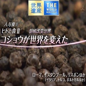 世界遗产 人与食Ⅱ 胡椒改变世界[日语中日双字]