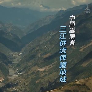 世界遗产 云南的三江并流保护区[日语中日双字]