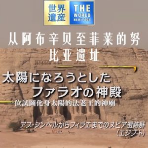 世界遗产 从阿布辛贝至菲莱的努比亚遗址[日语中日双字]