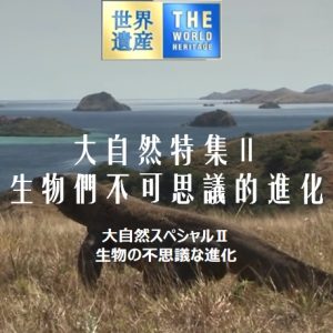 世界遗产 大自然特集Ⅱ 生物们不可思议的进化[日语中日双字]