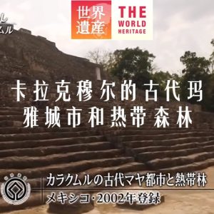 世界遗产 卡拉克穆尔的古代玛雅城市和热带森林[日语中日双字]