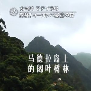 世界遗产 马德拉岛上的阔叶树林[日语中日双字]