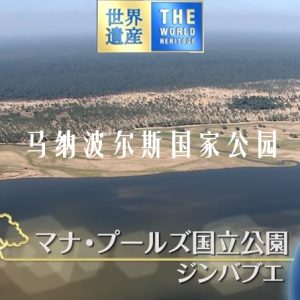 世界遗产 马纳波尔斯国家公园[日语中日双字]