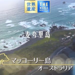 世界遗产 麦夸里岛[日语中日双字]