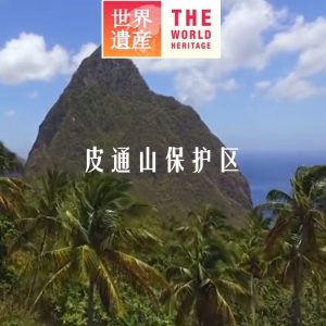 世界遗产 皮通山保护区[日语中日双字]