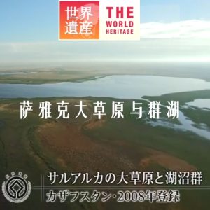 世界遗产 萨雅克大草原与群湖[日语中日双字]