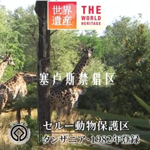 世界遗产 塞卢斯禁猎区[日语中日双字]