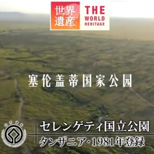 世界遗产 塞伦盖蒂国家公园[日语中日双字]