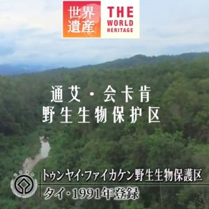 世界遗产 通艾·会卡肯野生生物保护区[日语中日双字]