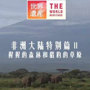 世界遗产 非洲大陆特别篇Ⅱ 猩猩的森林和猎豹的草原[日语中日双字]