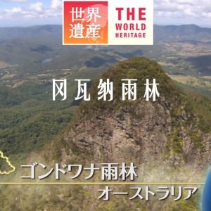 世界遗产 冈瓦纳雨林[日语中日双字]