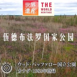 世界遗产 伍德布法罗国家公园[日语中日双字]