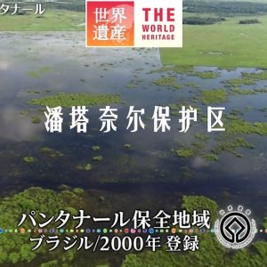 世界遗产 潘塔奈尔保护区[日语中日双字]