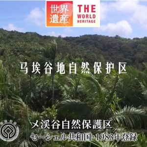 世界遗产 马埃谷地自然保护区[日语中日双字]