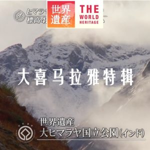 世界遗产 大喜马拉雅特辑[日语中日双字]