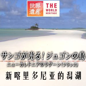 世界遗产 新喀里多尼亚的潟湖[日语中日双字]