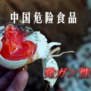 中国危险食品 [全2集][NHK纪录片][日语中日双字]