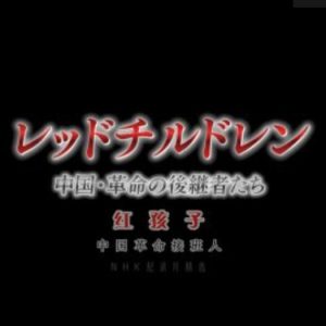 红孩子 中国革命接班人[日语中字]