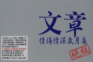 文章2007-情伤情深岁月集2CD[EQ][WAV+CUE]
