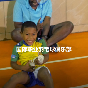 国际职业羽毛球俱乐部系统教学视频