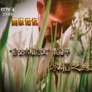 国家记忆 “杂交水稻之父”袁隆平 [5集][国语中字][1080P]