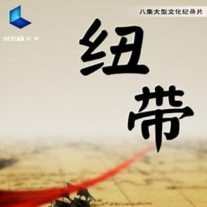 纽带 [8集][央视纪录片][国语中字][1080P]